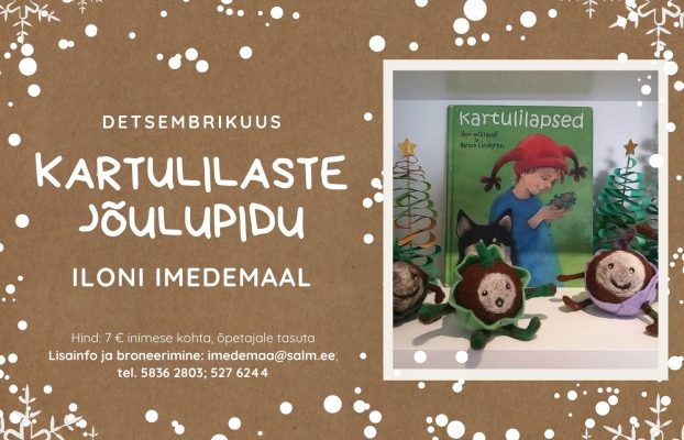 Haridusprogrammid jõulukuul Haapsalu ja Läänemaa muuseumides