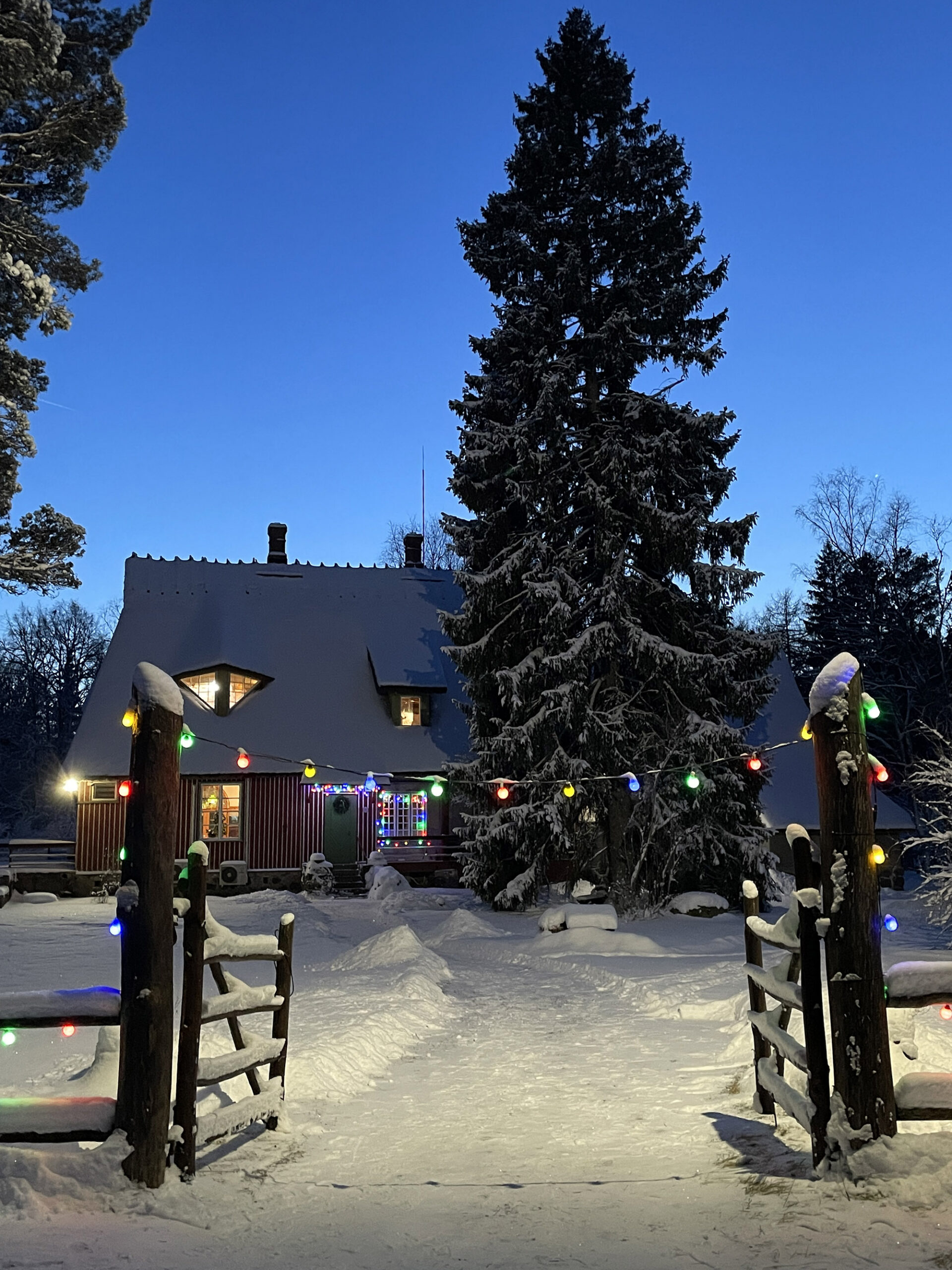 Laikmaa_joulud